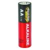 Waygate Technologies AA Alkaline Batteries (5 required)